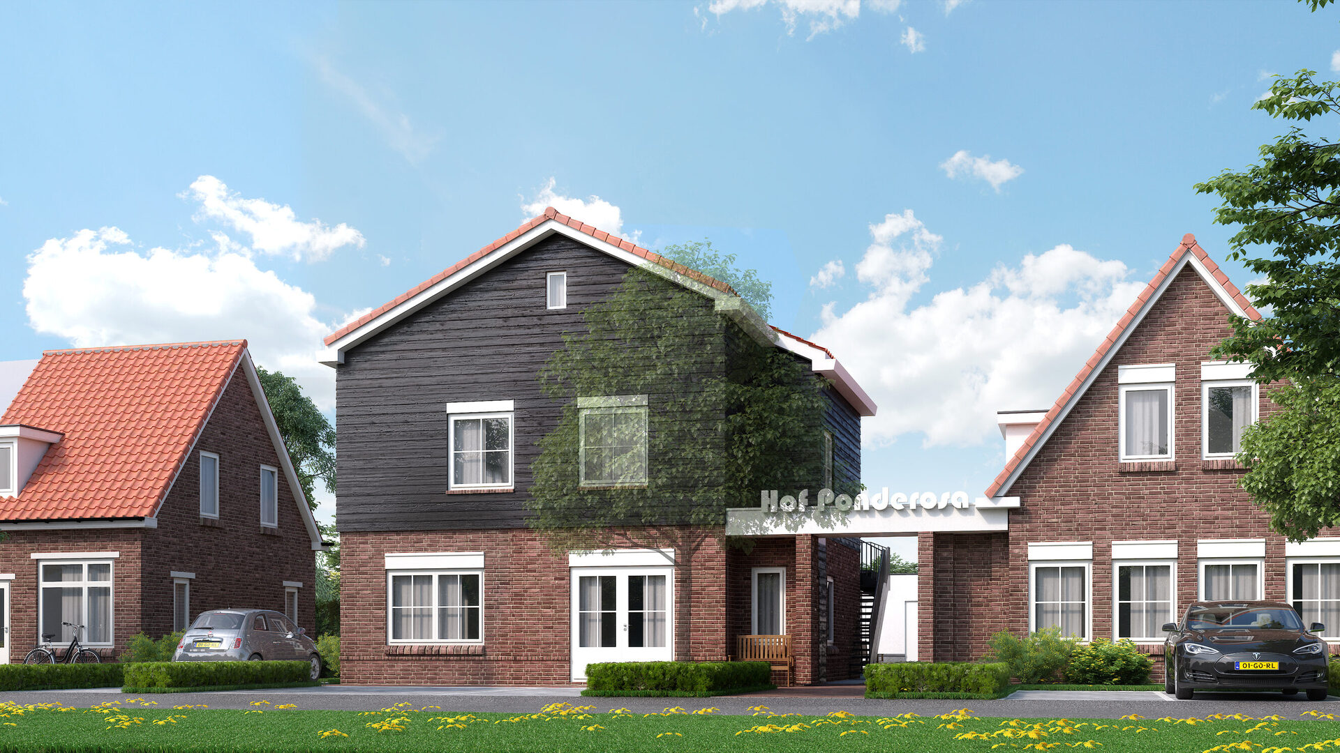Beeld_0002a