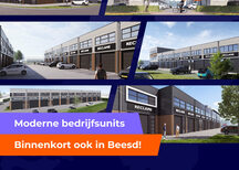CollageBeesd